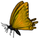 Papillon Pâques 2