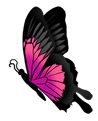 Grand Papillon