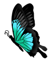 Grand Papillon