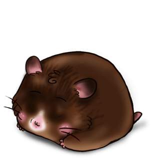 Adopte un(e) Hamster Chocolat