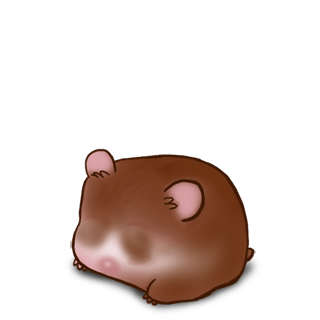 Adopte un(e) Hamster Chocolat au lait