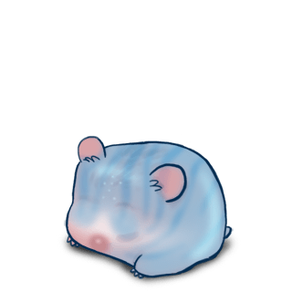 Adopte un(e) Hamster Crominavi