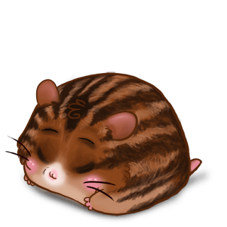 Adopte un(e) Hamster Marron rayé