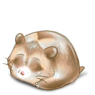 Adopte un(e) Hamster Nougat