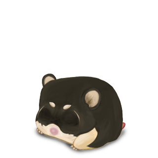 Adopte un(e) Hamster Shiba Inu