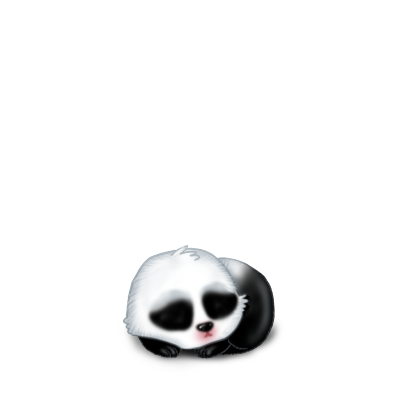 Adopte un(e) Lapin Panda