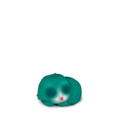 Adopte un(e) Lapin Turquoise