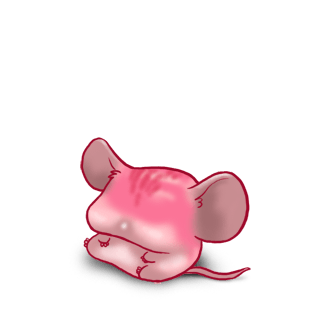 Adopte un(e) Souris CroMimiNine