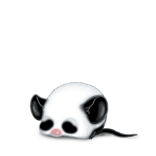 Adopte un(e) Souris Panda