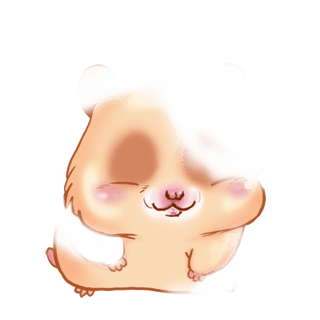 Adopte un(e) Hamster Panda Roux