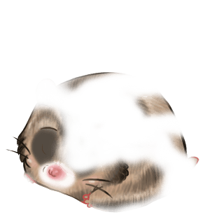 Adopte un(e) Hamster Paillettes dorée