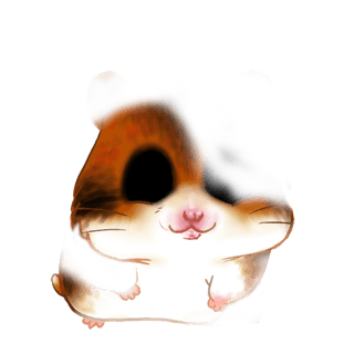 Adopte un(e) Hamster Choco