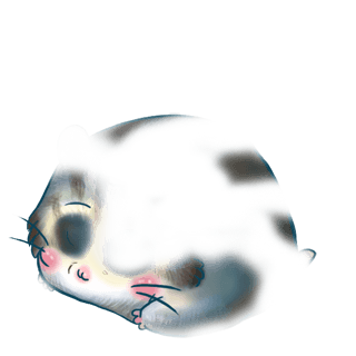 Adopte un(e) Hamster Hamster Citrouille