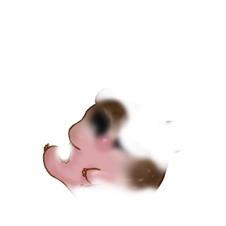 Adopte un(e) Hamster Emeraude