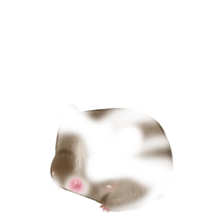 Adopte un(e) Hamster Flunsh