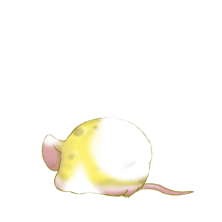 Adopte un(e) Souris Gruyère